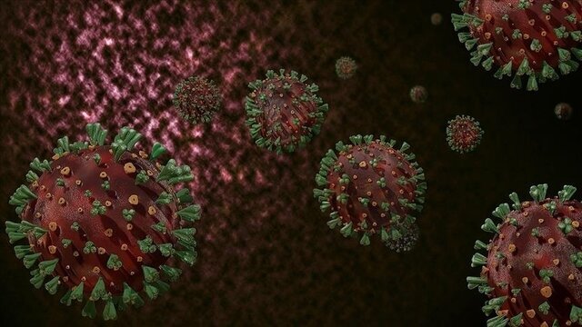 نگرانی‌ مقامات بهداشتی ژاپن از شیوع ۲ بیماری ویروسی