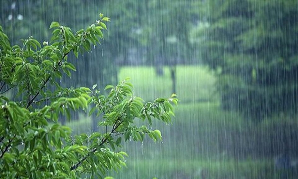 رگبار باران در شمال کشور/ وزش باد شدید و خیزش گرد و خاک در برخی استان‌ها