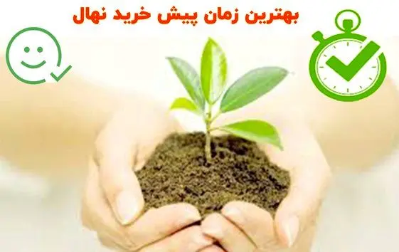 بهترین زمان برای خرید نهال با قیمت ارزان