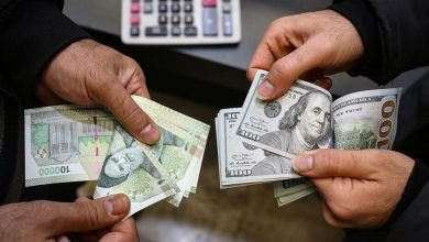 هفته آخر بهمن دلار چند می‌شود؟/ ارزپاشی سیاست‌گذار برای فریز دلار ادامه دارد؟