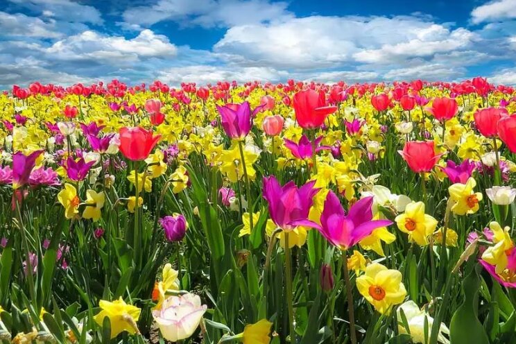 بهترین جاهای دیدنی در اردیبهشت / اردیبهشت، ماه سفر و طبیعتگردی!
