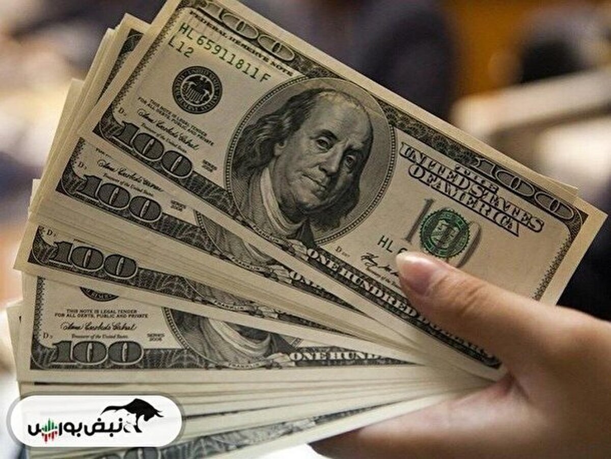 اثر مثبت تک‌نرخی شدن ارز مشروط بر شفافیت و اجرای صحیح آن است