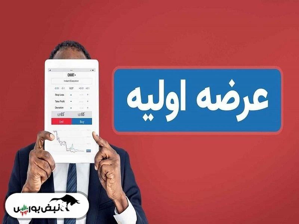 عرضه اولیه جدید در راه بازار سرمایه