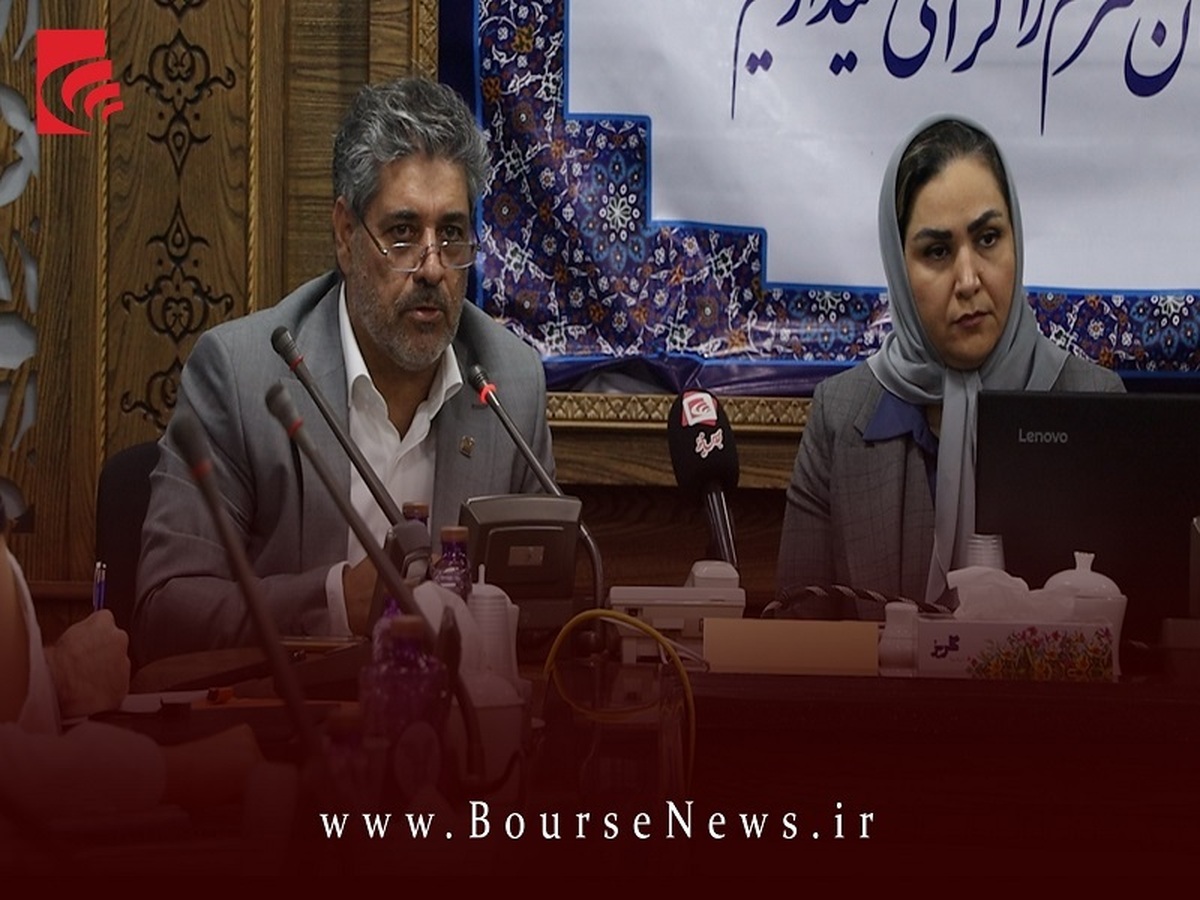 دومین شرکت