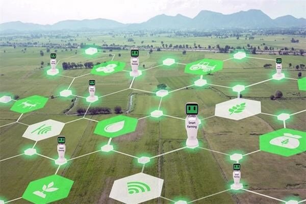 نخستین آمار رسمی سهم اقتصاد دیجیتال کشور بهزودی منتشر میشود