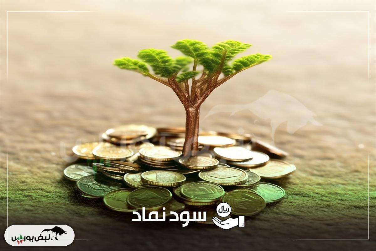 واریز سود ۱۸ شرکت بورسی در هفته اول آبان