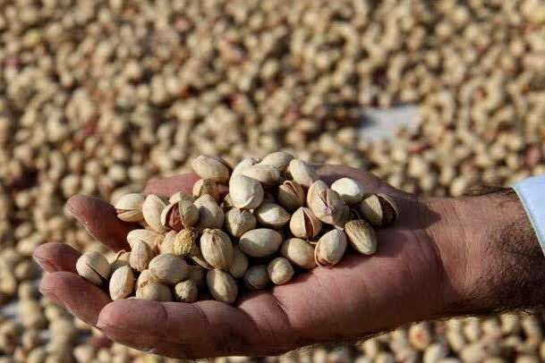 حذف ۵ محصول از فهرست محصولات کشاورزی و مواد غذایی پر آب بر