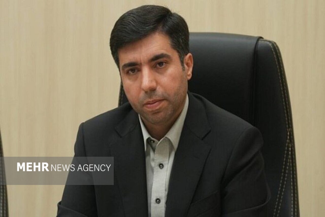 ورود بخش خصوصی به جذب سرمایهگذاری خارجی امکانپذیر شد