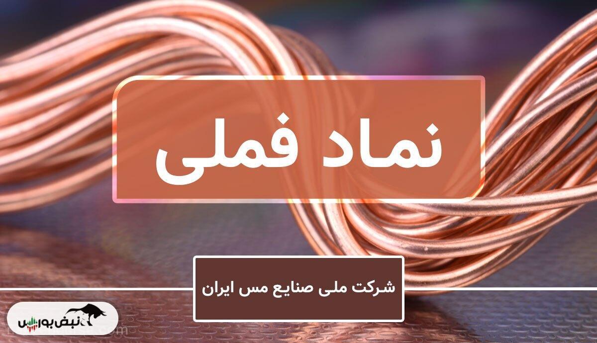 فملی؛ نخستین شرکت هزارهمتی بازار سرمایه وارد فصل تازه رشد شد