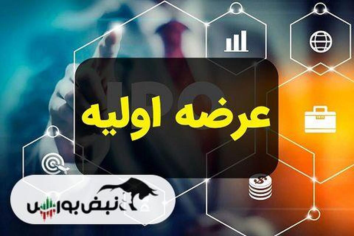 در عرضه اولیه نماد به هر کد چند سهم رسید؟