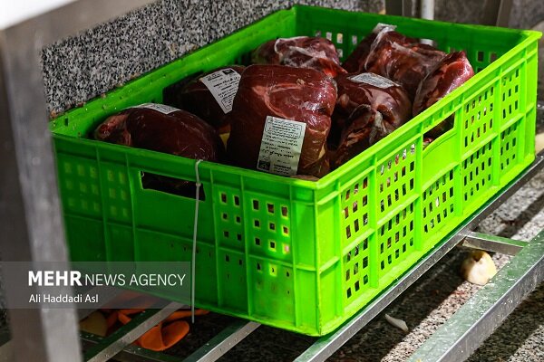 عرضه گوشت قرمز در کشتارگاههای رسمی به بیش از ۴۳ تن رسید