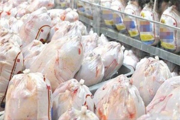 عرضه گوشت طیور در دی ماه به بیش از ۲۴۰ هزار تن رسید