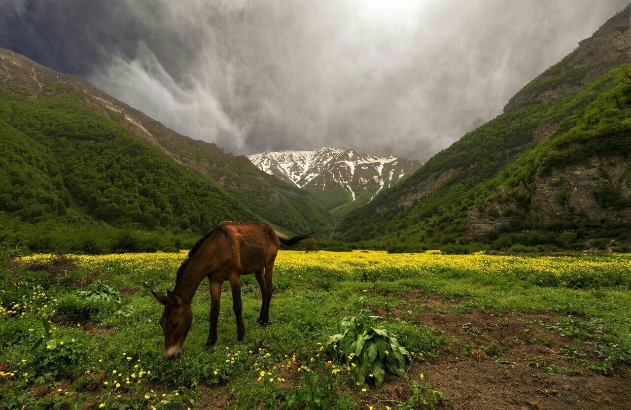 از آبشارهای پنهان تا دشتهای مرتفع؛ در فصل گرما کجا آب و هوا تازه کنیم؟/ معرفی ۶ مقصد بکر و خنک اطراف تهران