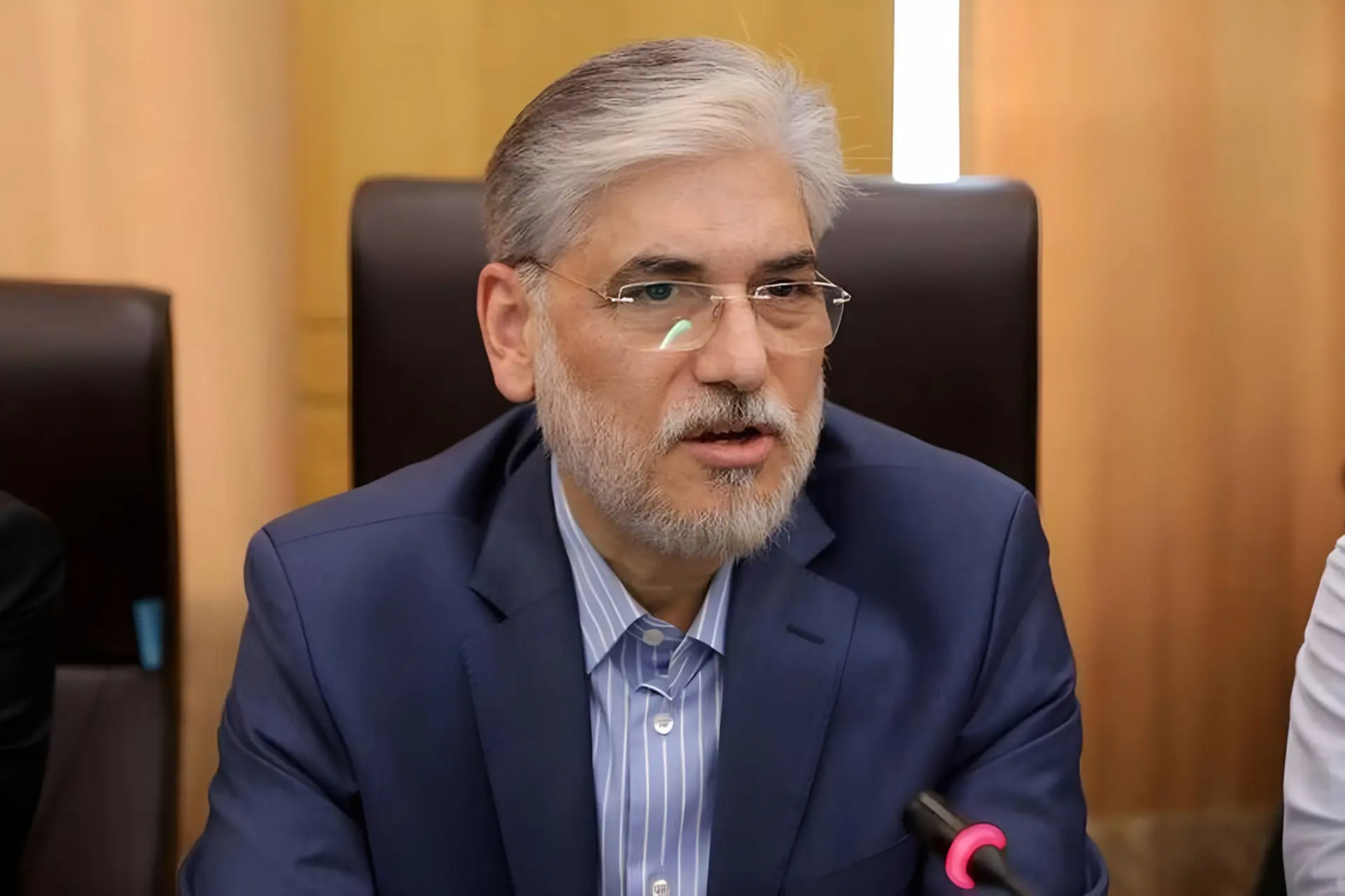 نگین باقری