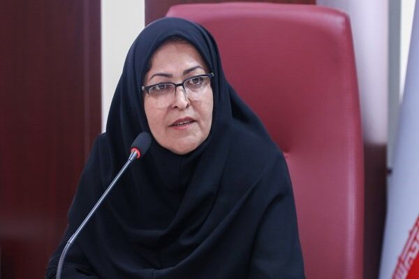 انصاری: صادرات را برای تولیدکنندگان قانونمدار تسهیل میکنیم