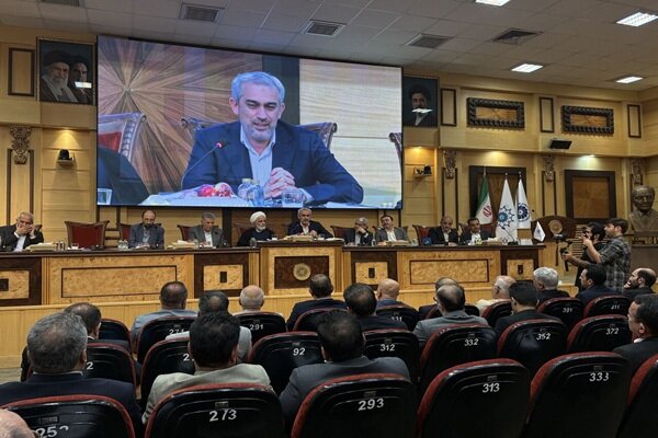 مدنیزاده: تعدد قوانین فعالان اقتصادی را سردرگم میکند