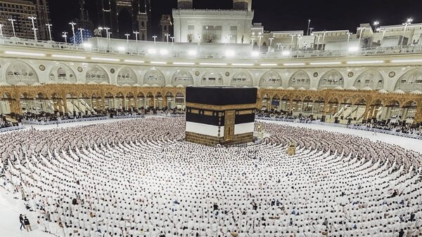 قیمت حج ۱۴۰۶ افزایش مییابد؟/ رئیس سازمان حج توضیح داد