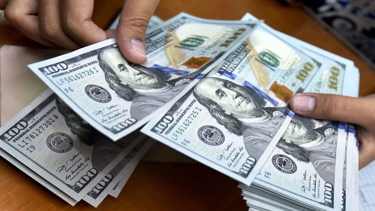 اولین واکنش وزیر اقتصاد به قیمت دلار/ مدنیزاده: خیالتان راحت؛ دولت برنامه حمایت از اقتصاد و معیشت مردم را دارد!